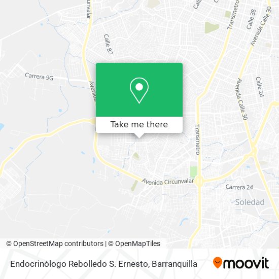 Endocrinólogo Rebolledo S. Ernesto map