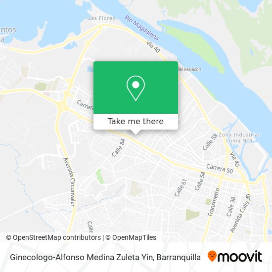 Ginecologo-Alfonso Medina Zuleta Yin map