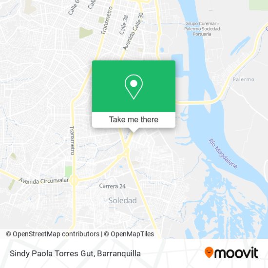 Sindy Paola Torres Gut map