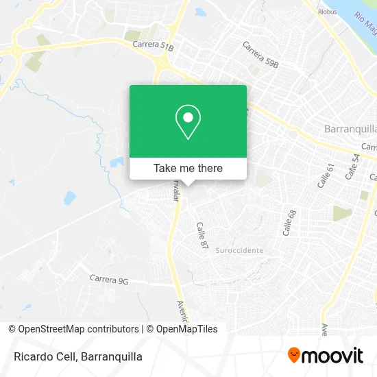 Ricardo Cell map