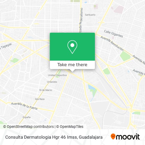 Mapa de Consulta Dermatologia Hgr 46 Imss