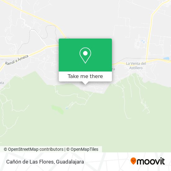 Mapa de Cañón de Las Flores