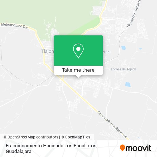 Fraccionamiento Hacienda Los Eucaliptos map