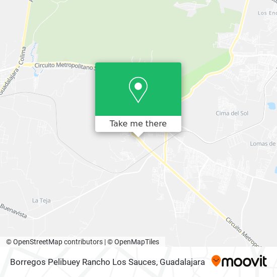 Borregos Pelibuey Rancho Los Sauces map