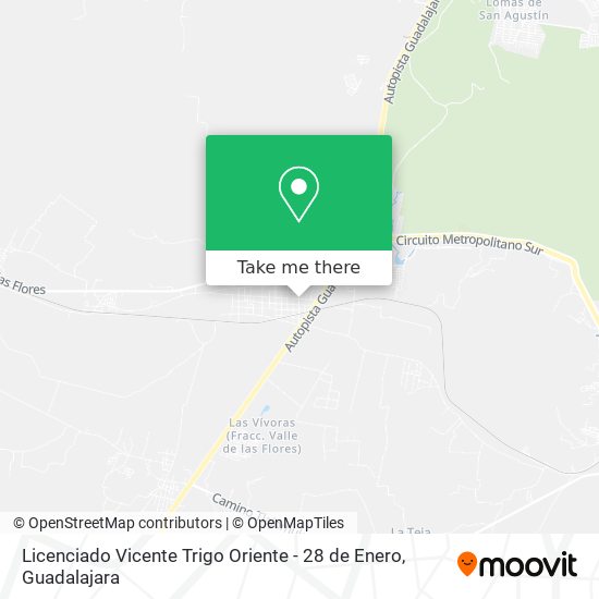 Licenciado Vicente Trigo Oriente - 28 de Enero map
