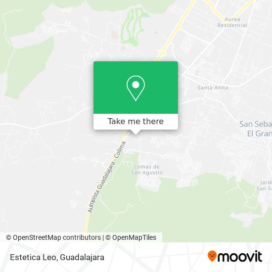 Mapa de Estetica Leo