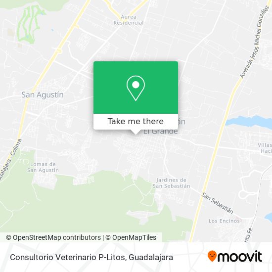 Consultorio Veterinario P-Litos map