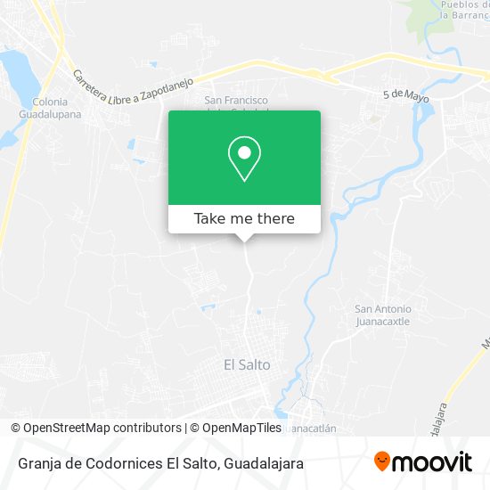 Granja de Codornices El Salto map