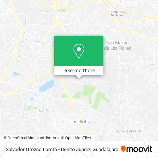 Salvador Orozco Loreto - Benito Juárez map