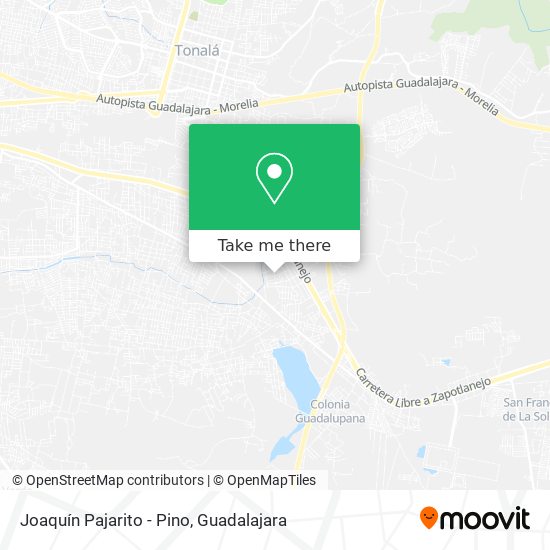 Mapa de Joaquín Pajarito - Pino
