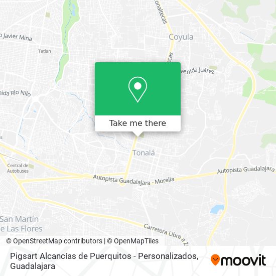 Pigsart Alcancías de Puerquitos - Personalizados map