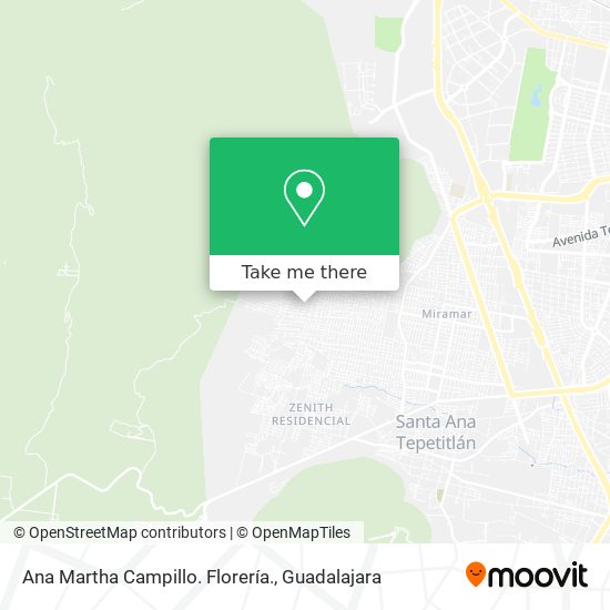 Mapa de Ana Martha Campillo. Florería.