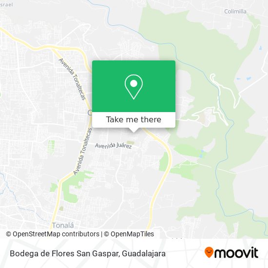Mapa de Bodega de Flores San Gaspar