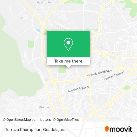 Terraza Champiñon map