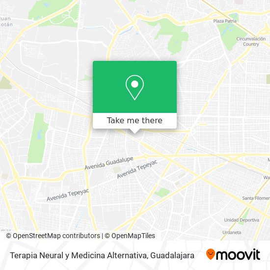 Mapa de Terapia Neural y Medicina Alternativa