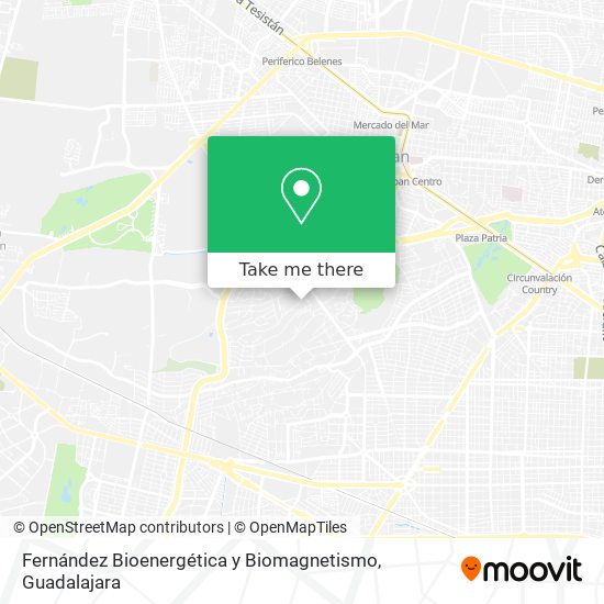 Fernández Bioenergética y Biomagnetismo map
