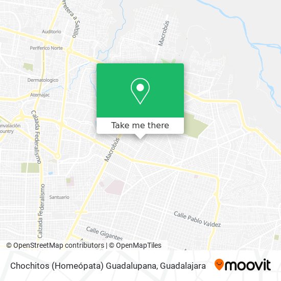 Chochitos (Homeópata) Guadalupana map