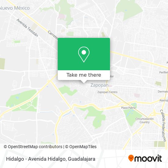 Mapa de Hidalgo - Avenida Hidalgo