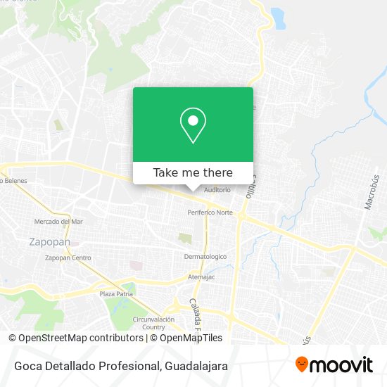 Goca Detallado Profesional map