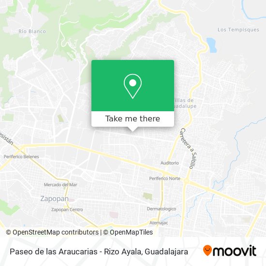 Mapa de Paseo de las Araucarias - Rizo Ayala