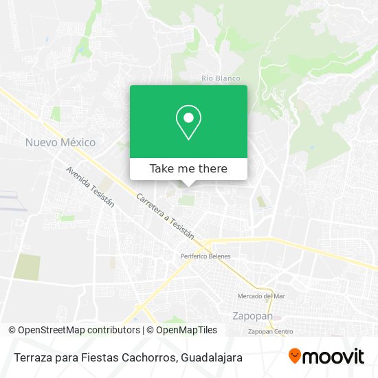 Mapa de Terraza para Fiestas Cachorros