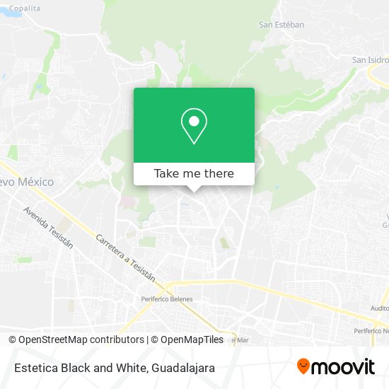 Estetica Black and White map