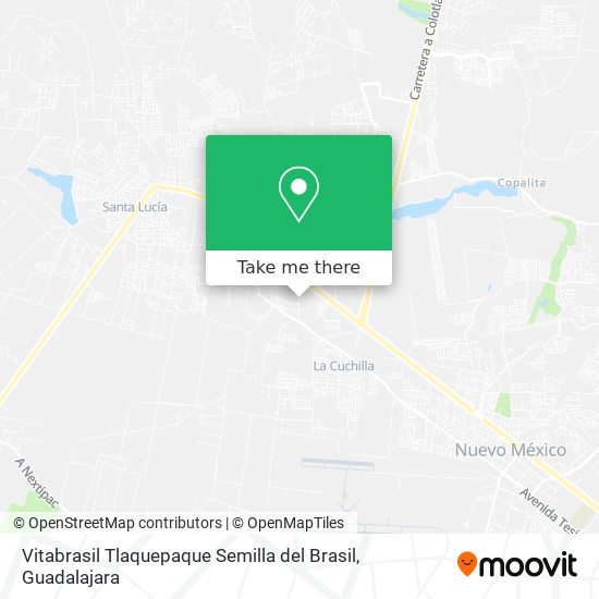 Mapa de Vitabrasil Tlaquepaque Semilla del Brasil