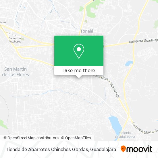 Mapa de Tienda de Abarrotes Chinches Gordas