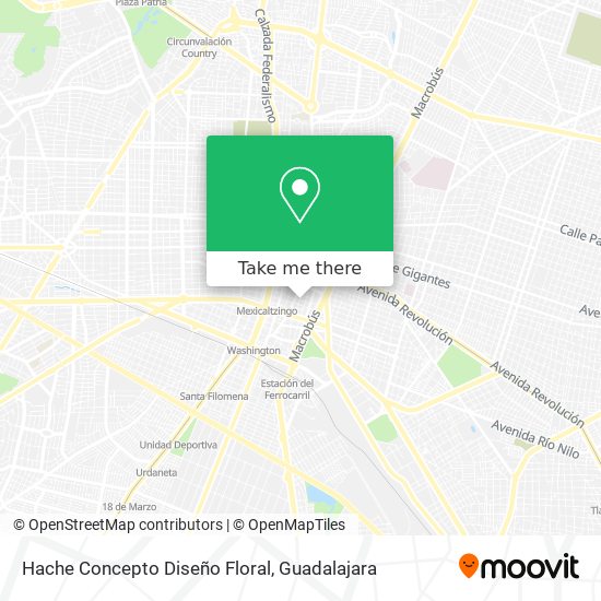 Hache Concepto Diseño Floral map