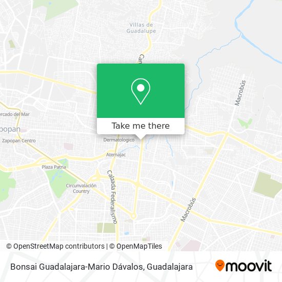 Bonsai Guadalajara-Mario Dávalos map