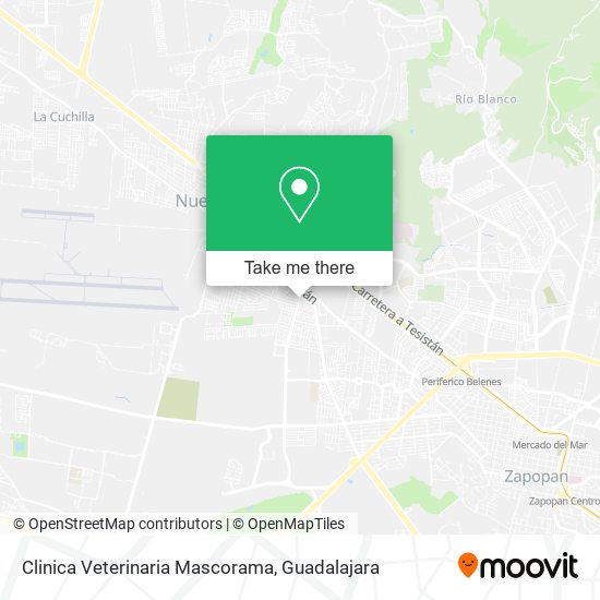 Clinica Veterinaria Mascorama map