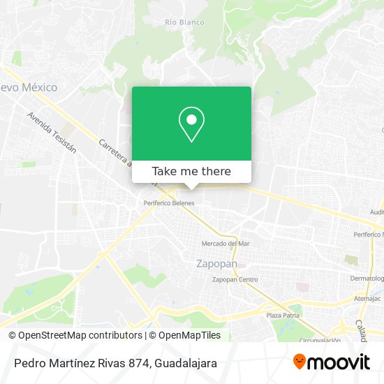 Pedro Martínez Rivas 874 map