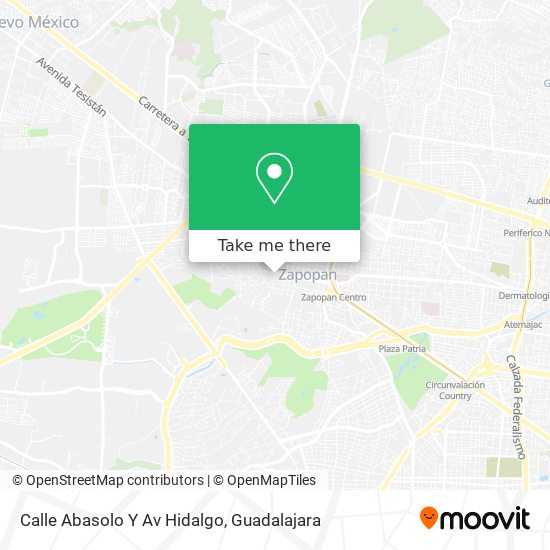 Calle Abasolo Y Av Hidalgo map