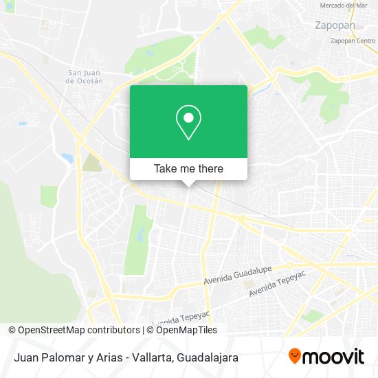 Juan Palomar y Arias - Vallarta map