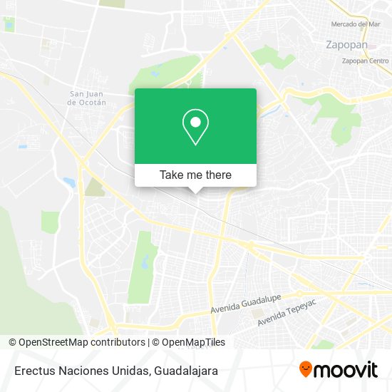 Erectus Naciones Unidas map
