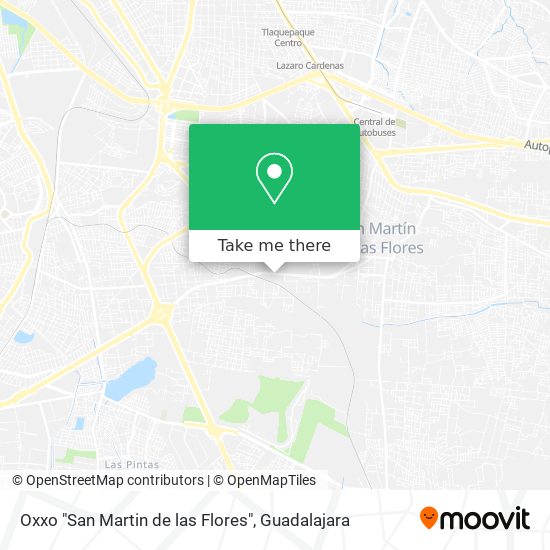 Oxxo "San Martin de las Flores" map