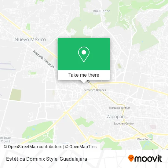 Mapa de Estética Dominix Style