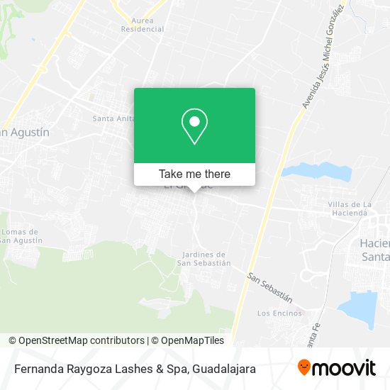Fernanda Raygoza Lashes & Spa map
