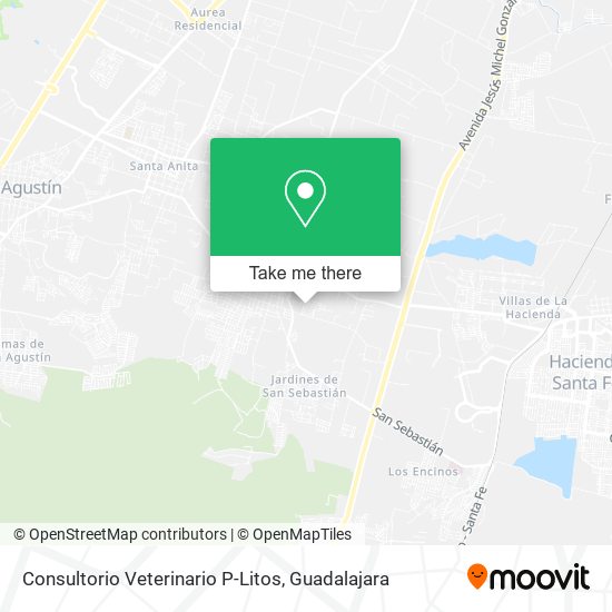 Mapa de Consultorio Veterinario P-Litos