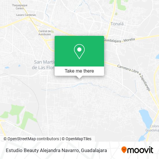 Mapa de Estudio Beauty Alejandra Navarro