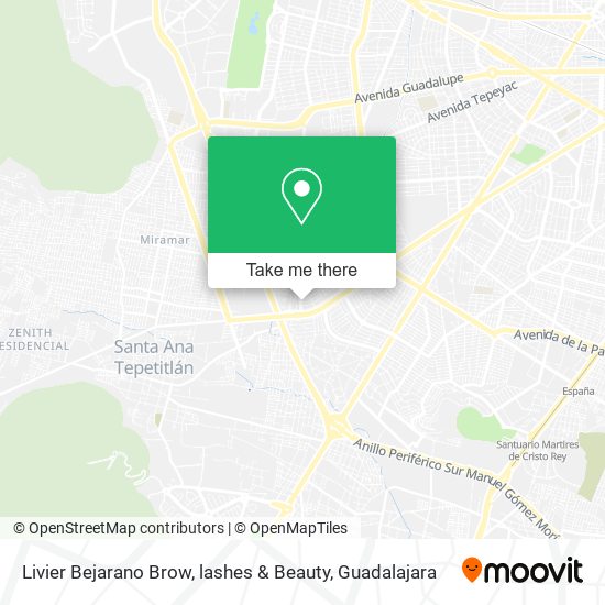 Livier Bejarano Brow, lashes & Beauty map