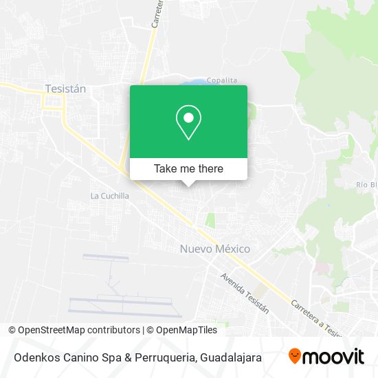 Odenkos Canino Spa & Perruqueria map