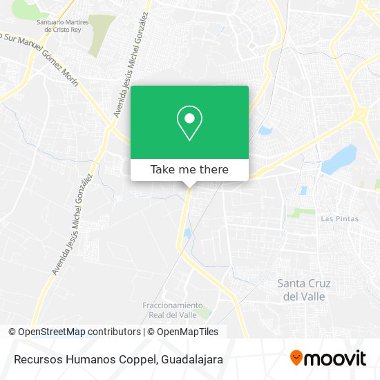 Mapa de Recursos Humanos Coppel