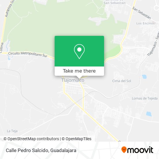 Calle Pedro Salcido map