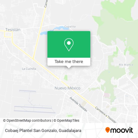 Cobaej Plantel San Gonzalo map