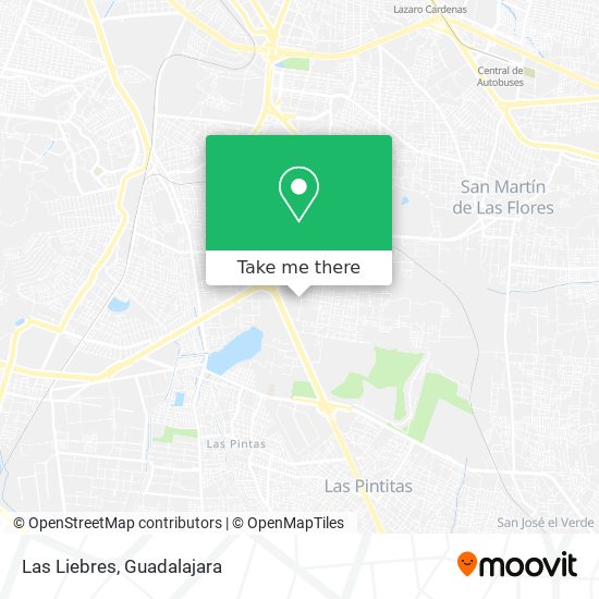 Las Liebres map