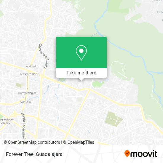 Forever Tree map