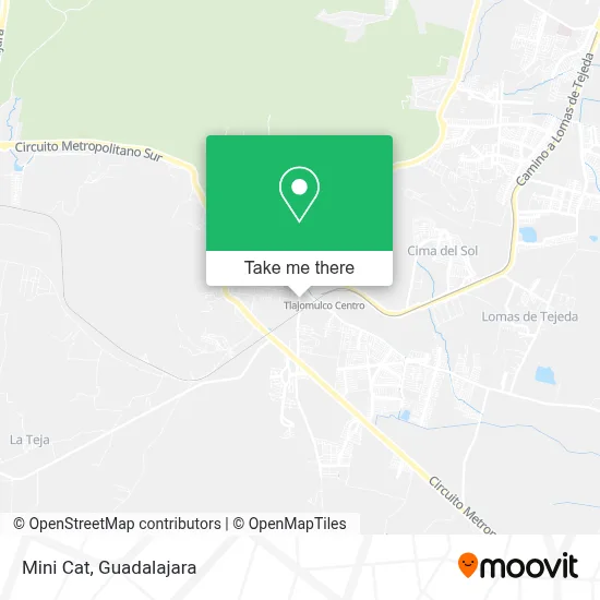 Mini Cat map