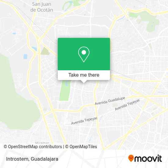 Introstem map