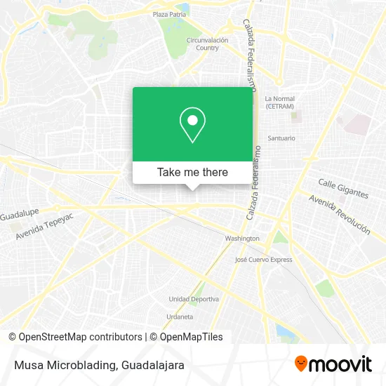 Musa Microblading map